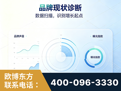 洪江-品牌现状诊断
