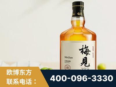 洪江-梅见青梅酒